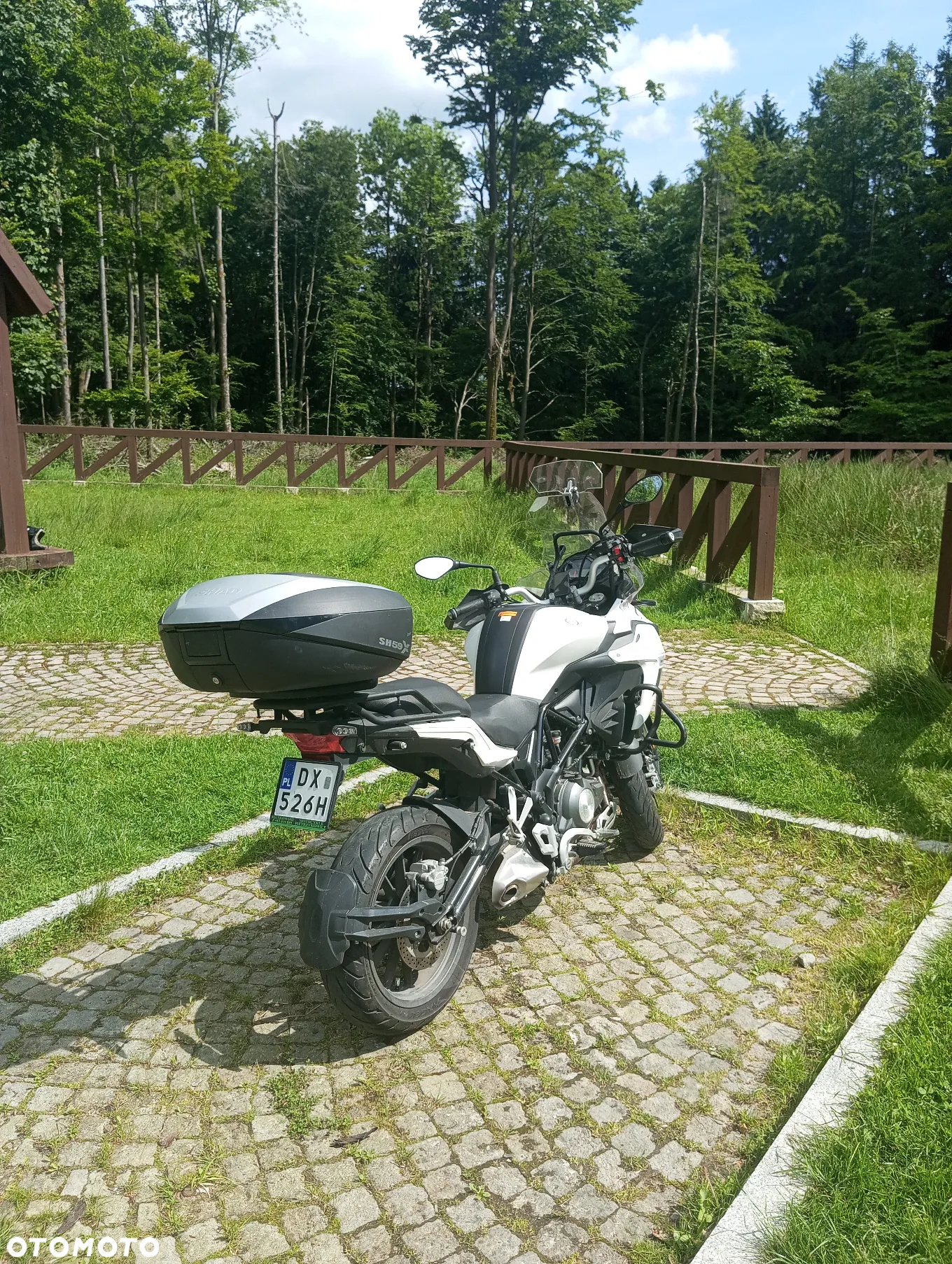 Benelli TRK 502 - 5