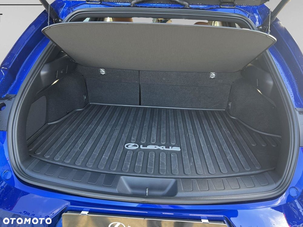 Lexus UX 300h F Sport Design - 20