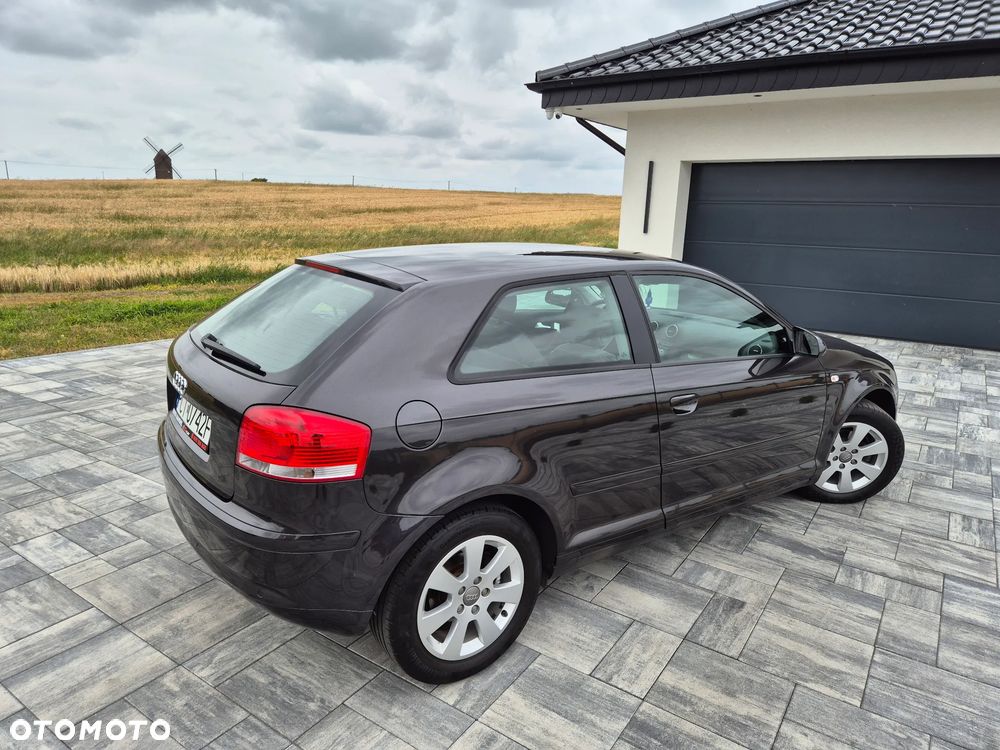 Audi A3 3-drzwiowe 1.9 TDI Ambiente - 12