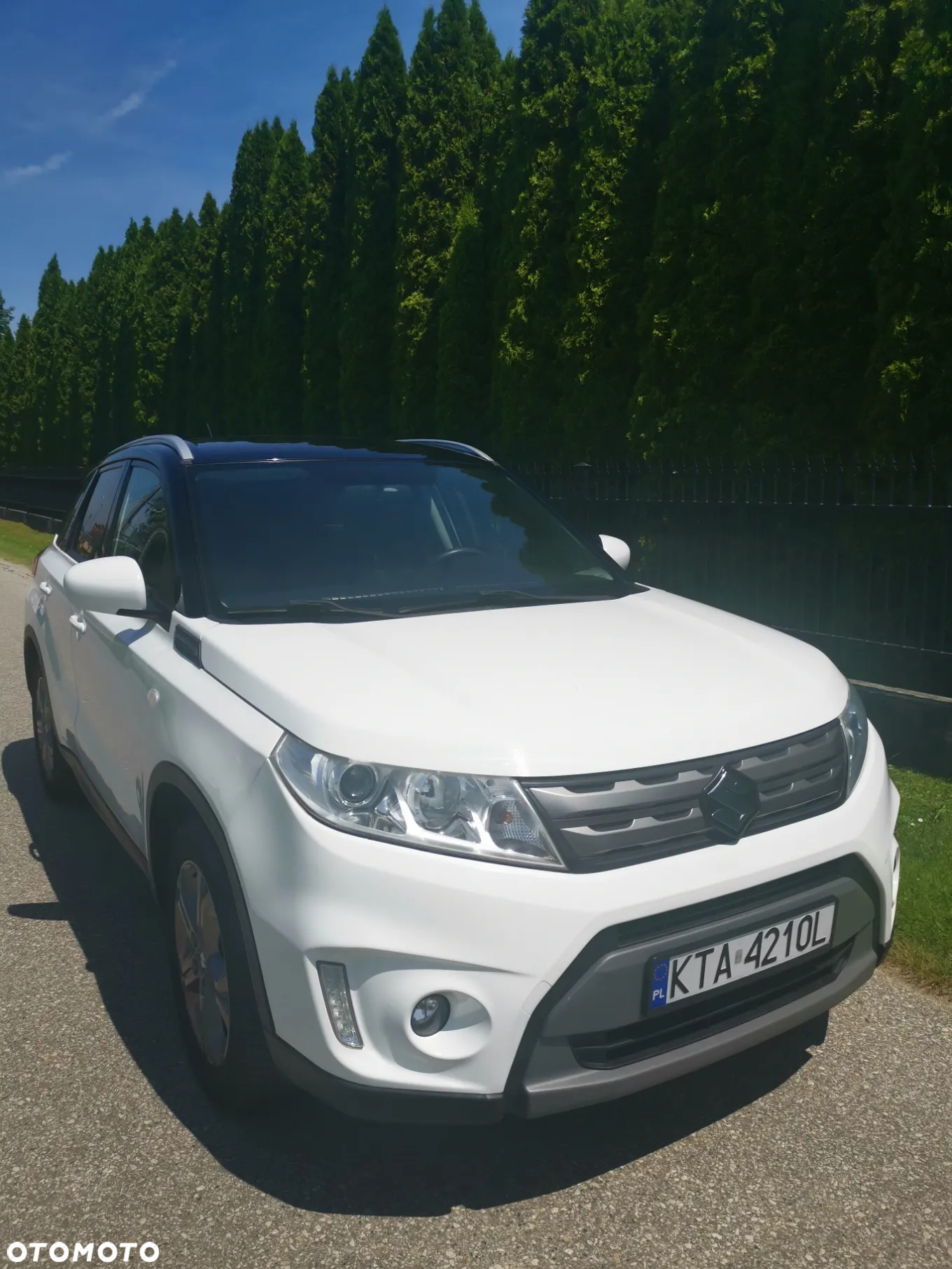Suzuki Vitara - 11