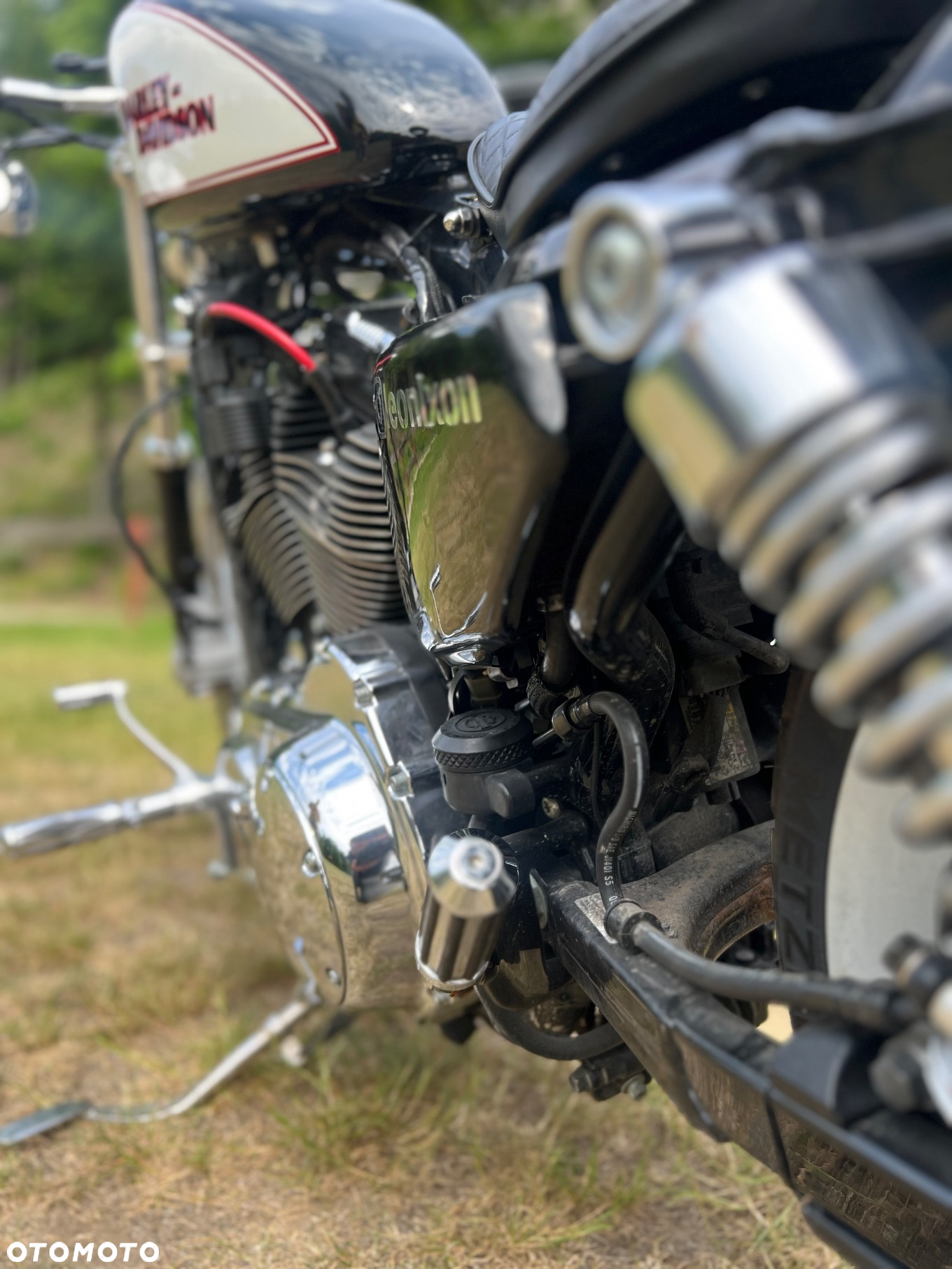 Harley-Davidson Sportster Custom 1200C - 8