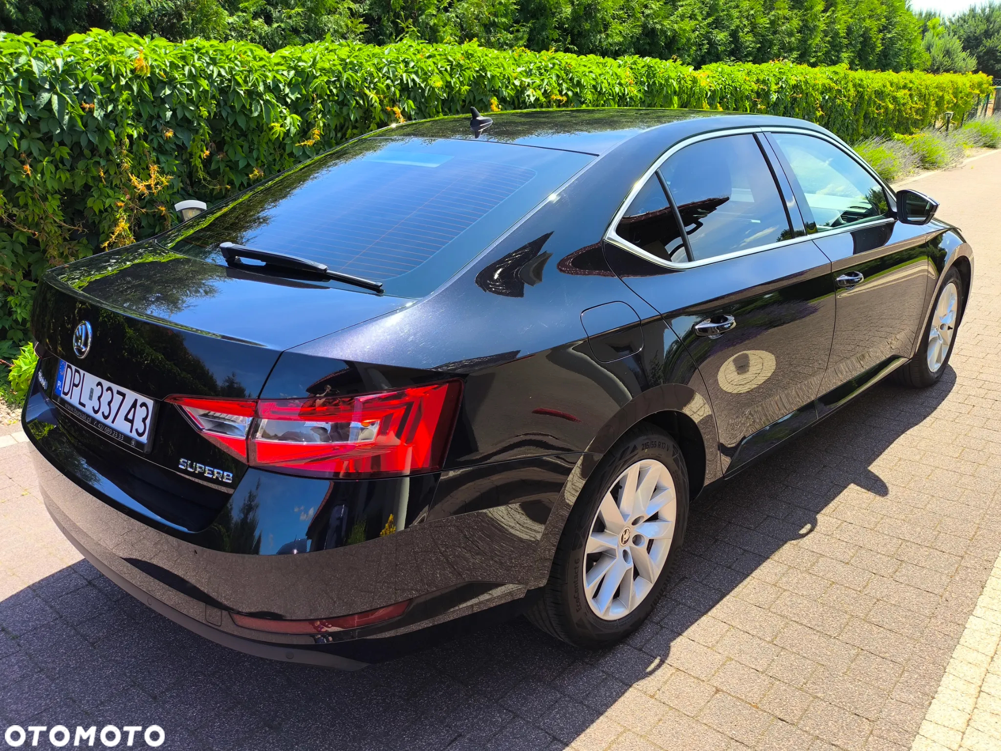 Skoda Superb - 31