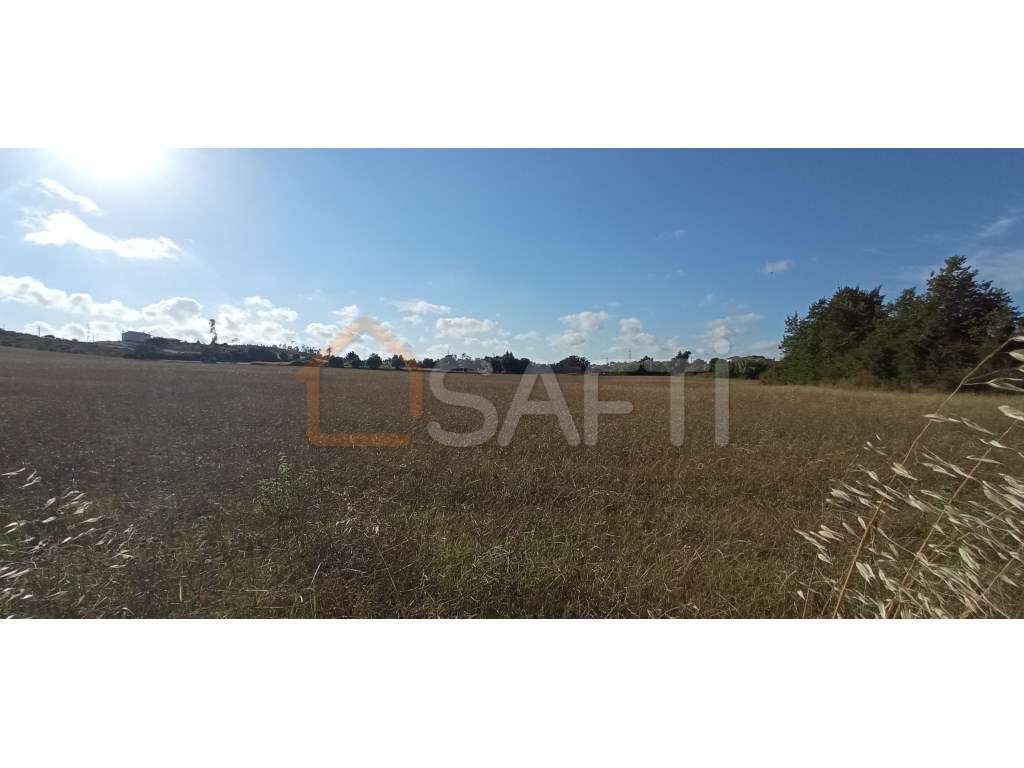 Terreno para construção, a 15 minutos da Figueira da Foz - Grande imagem: 5/7