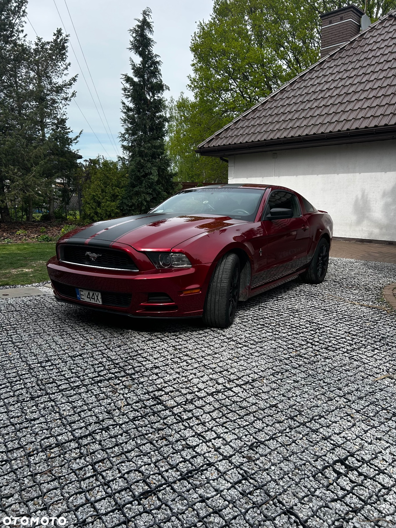 Ford Mustang - 7