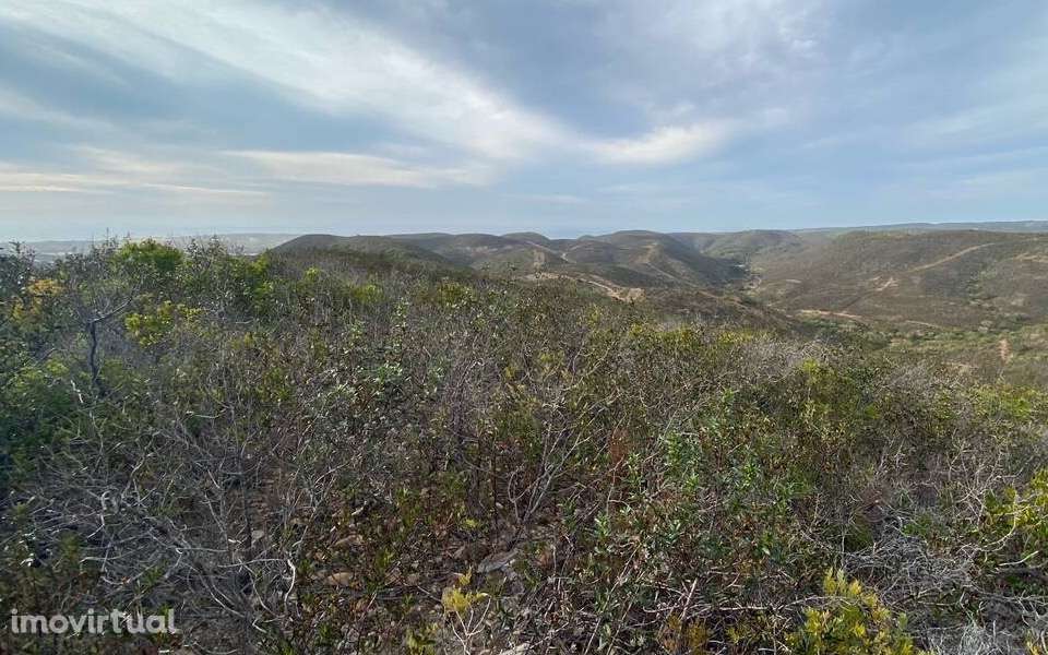 Terreno rústico Carrapateira - Grande imagem: 3/6