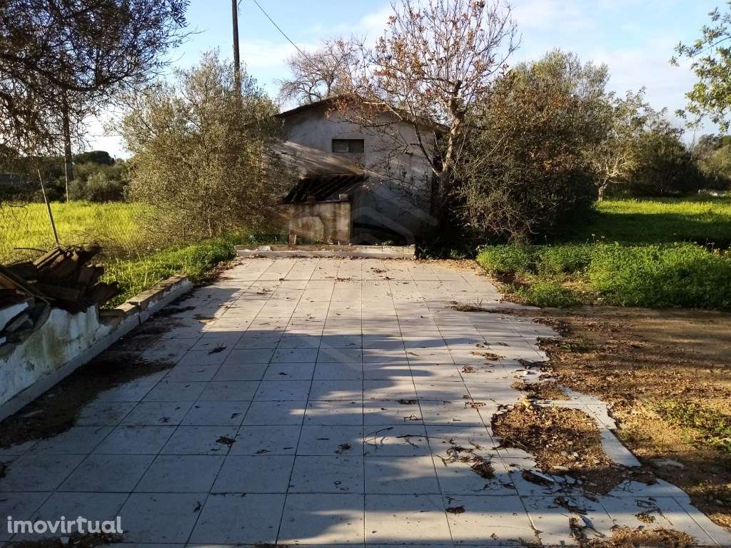 Casa antiga com 3 divisões, Loulé, Algarve - Grande imagem: 5/32