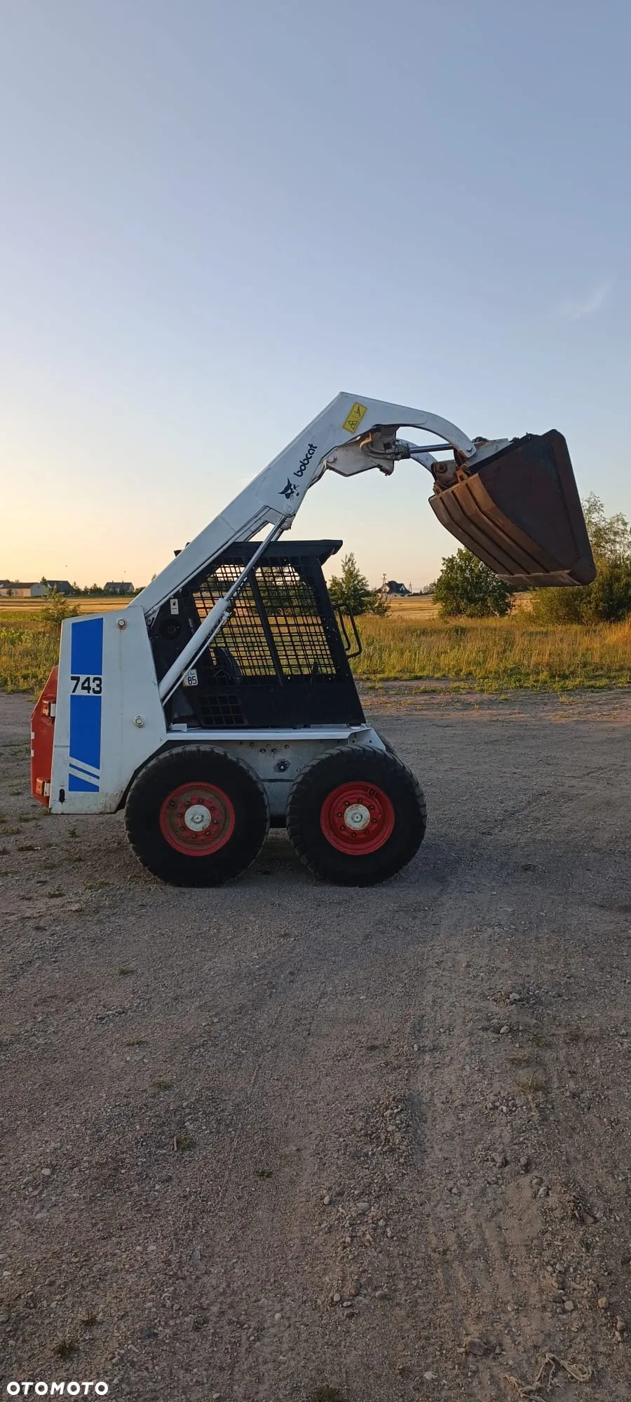 Bobcat - 3