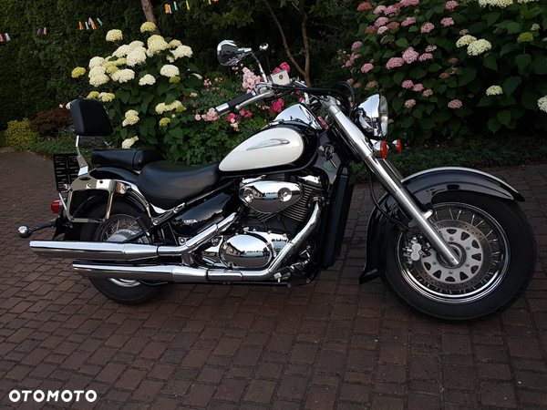 Suzuki VL 800 Volusia