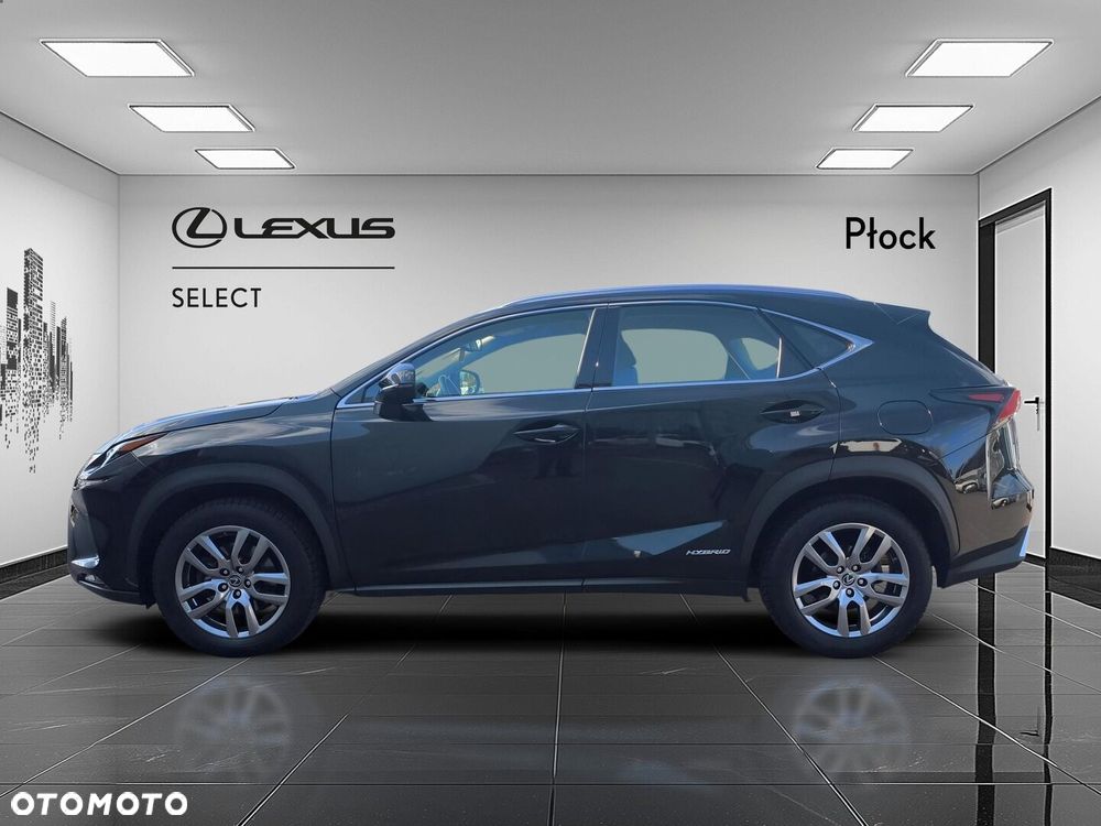 Lexus NX 300h Business Edition AWD - 2