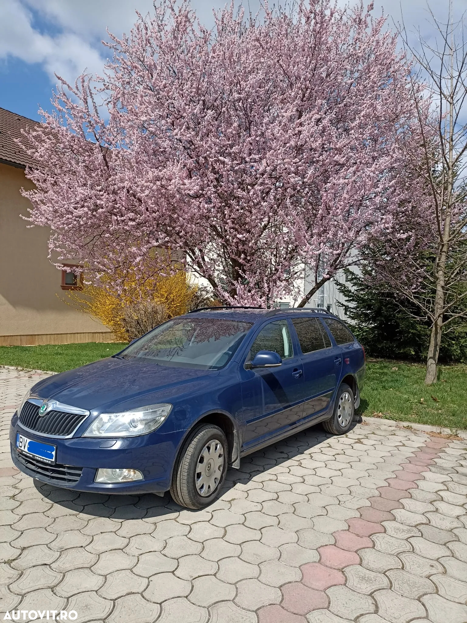 Skoda Octavia - 6