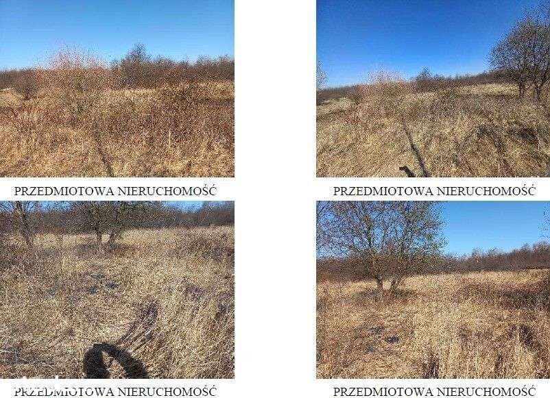 Syndyk sprzeda kompleks działek - Pełny obrazek: 3/7