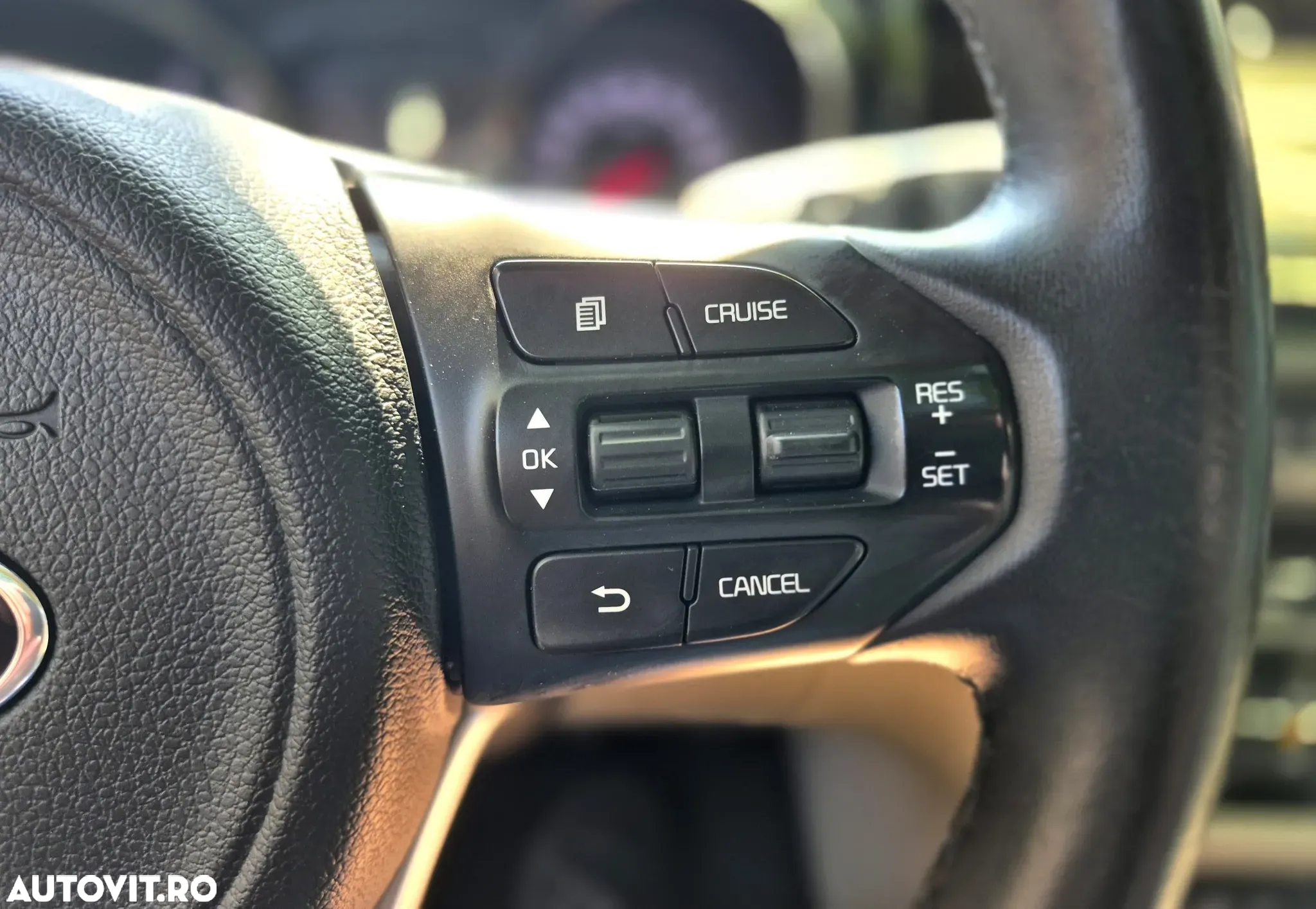 Kia Carnival - 13