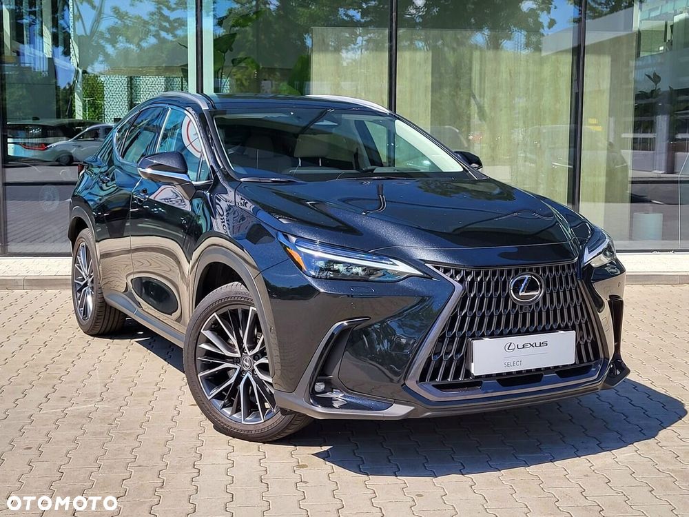 Lexus NX - 10