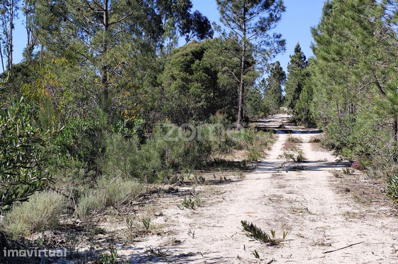 Terreno urbano em Melides - Grande imagem: 2/15