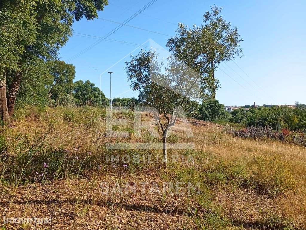 Lote de terreno em Santarém - Grande imagem: 5/5