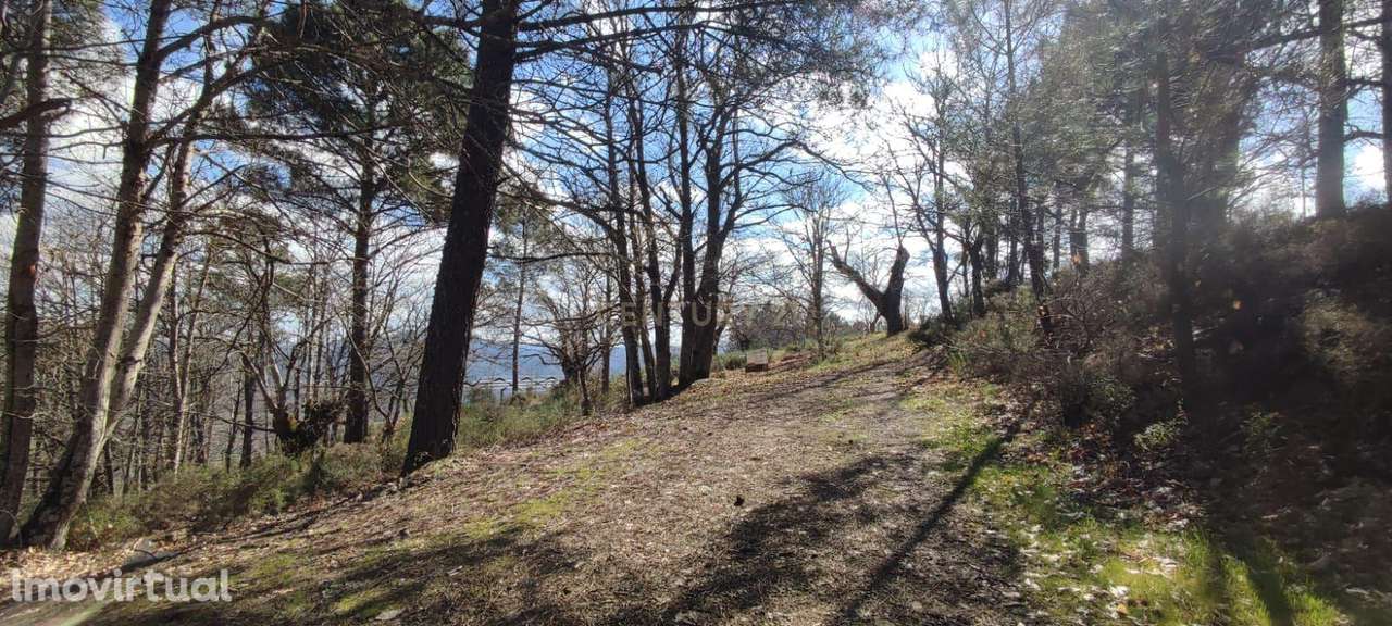 Terreno com possibilidade para construção de um armazém - Grande imagem: 4/12