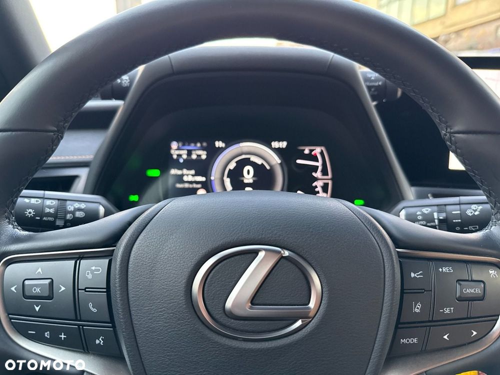 Lexus UX 250h GPF F Sport Design 2WD - 10