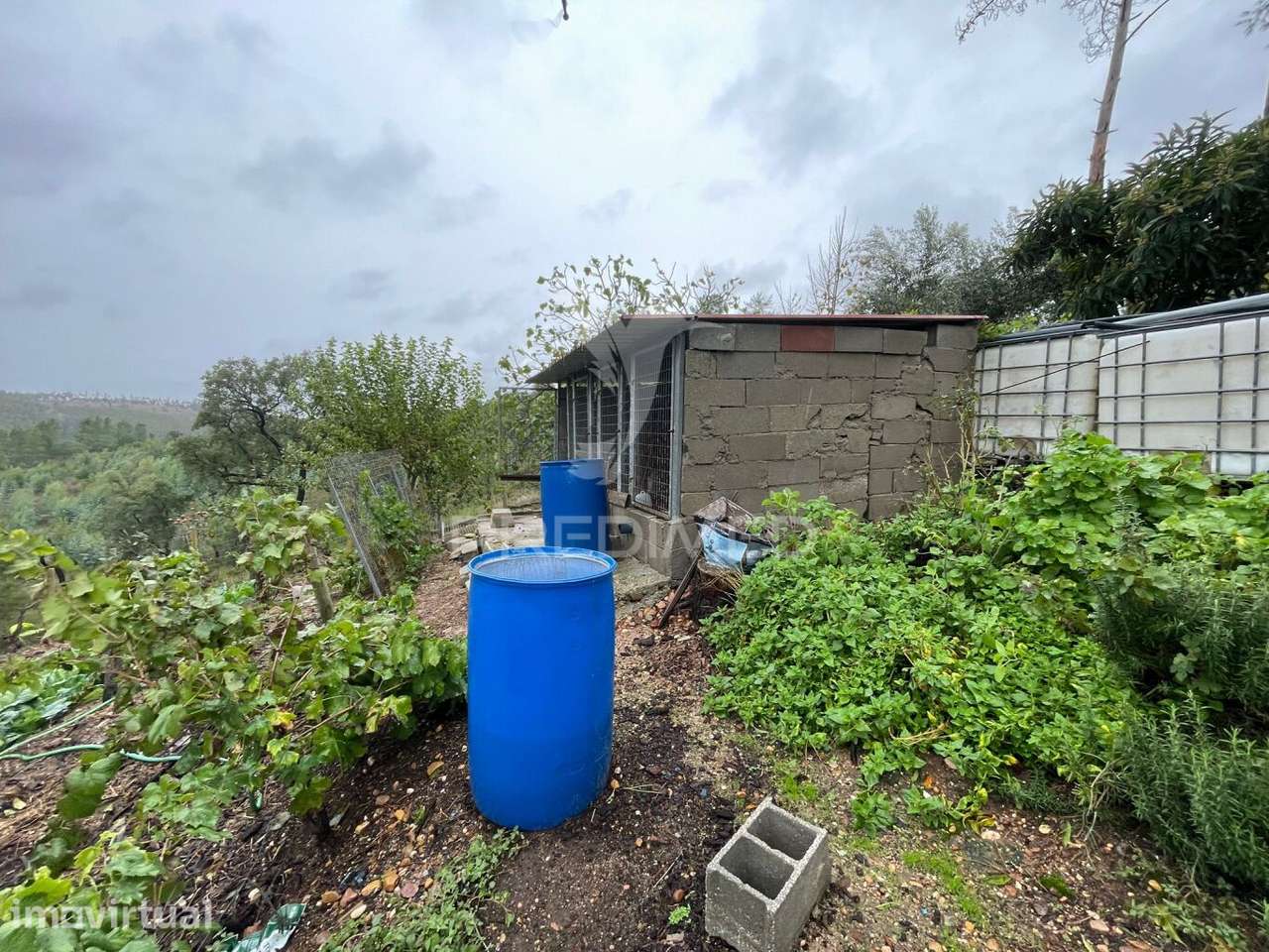 Quintinha em São Miguel - Grande imagem: 3/7