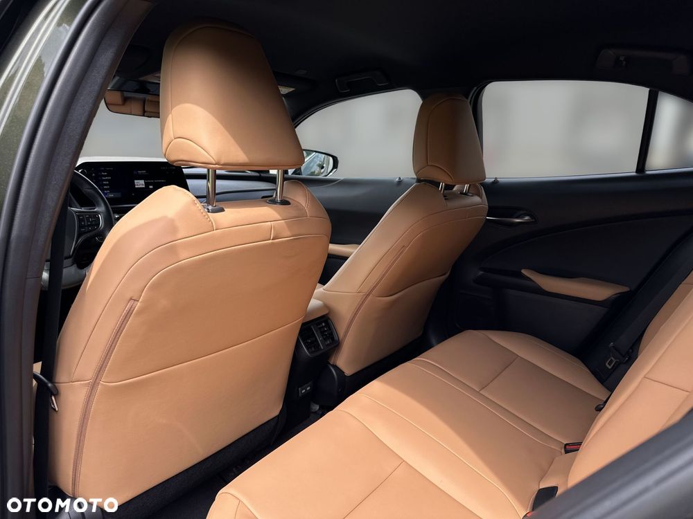 Lexus UX 200 GPF F Sport Design+ 2WD - 12