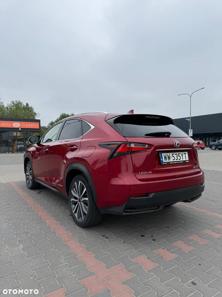 Lexus NX 300h F Sport AWD - 7