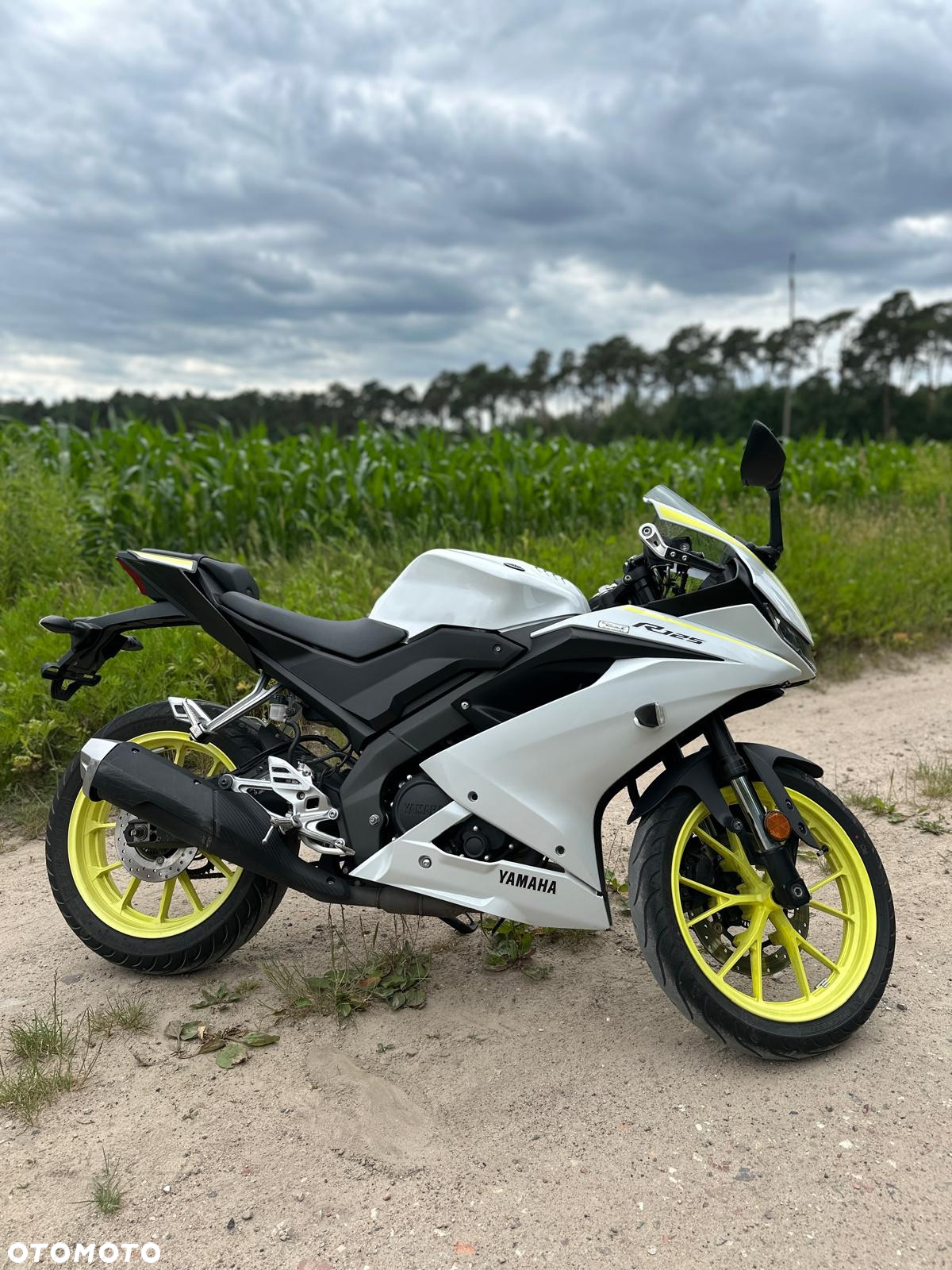 Yamaha YZF - 3