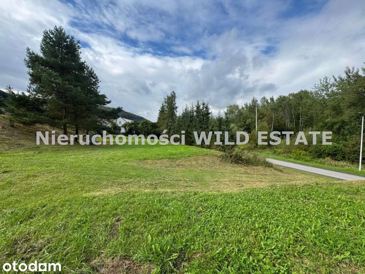 Działka, 4 728 m², Solina - Pełny obrazek: 3/10
