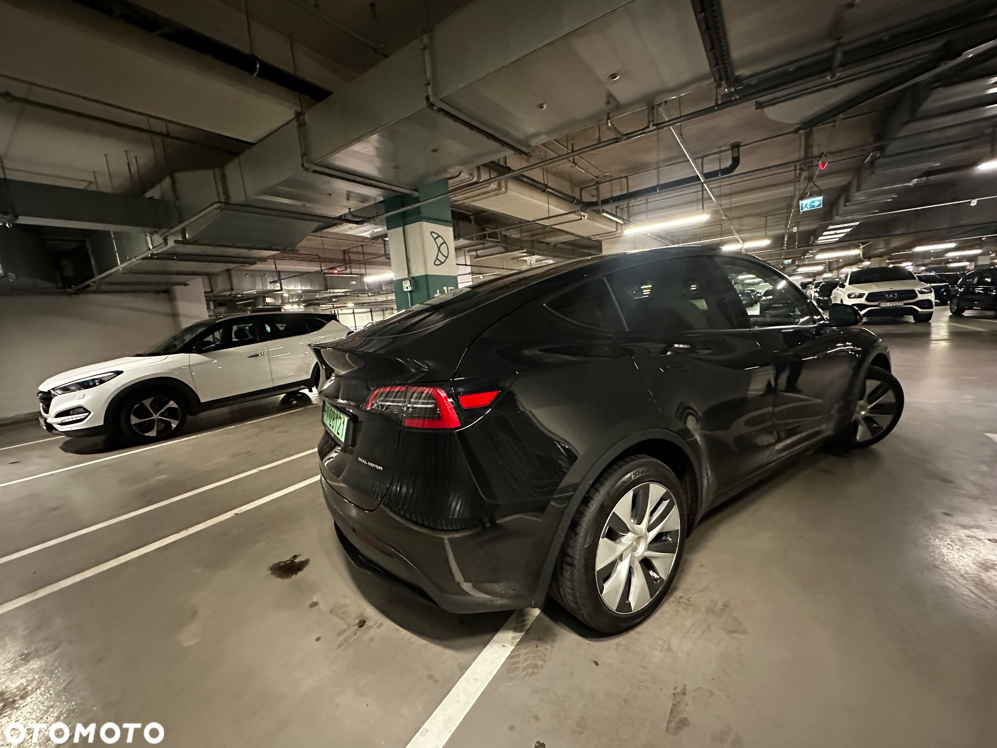 Tesla Y Long Range AWD - 5