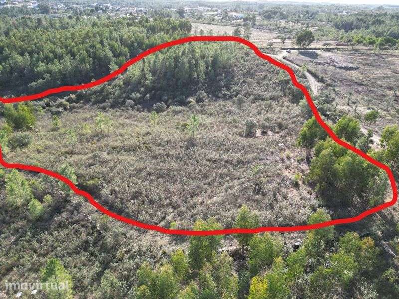 Terreno Rústico - 12580 m2