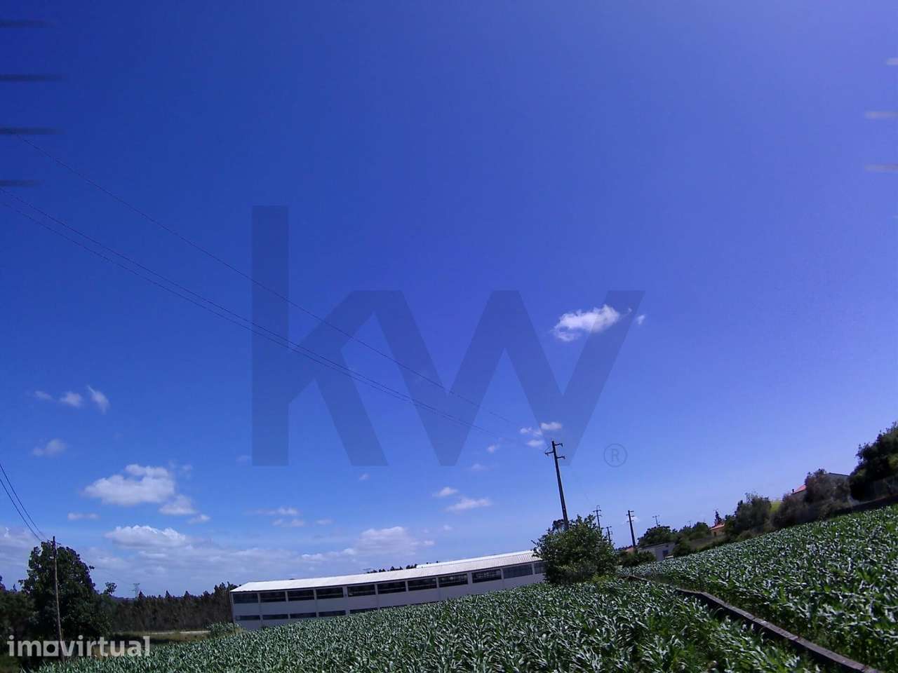 Oportunidade de Investimento: Terreno de 1020m2 para Fins Industriais/ - Grande imagem: 4/7