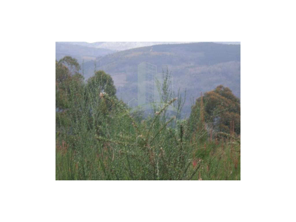 Terreno com vista de Rio em Seixas para venda. - Grande imagem: 3/7