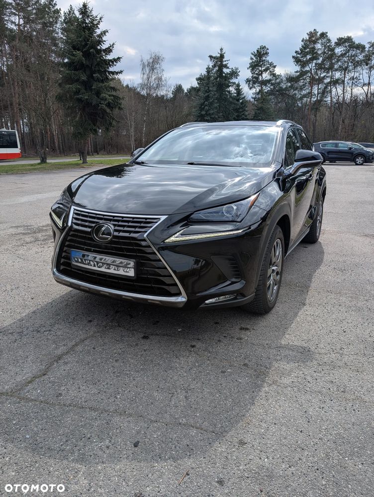 Lexus NX 300 Business Edition AWD - 1
