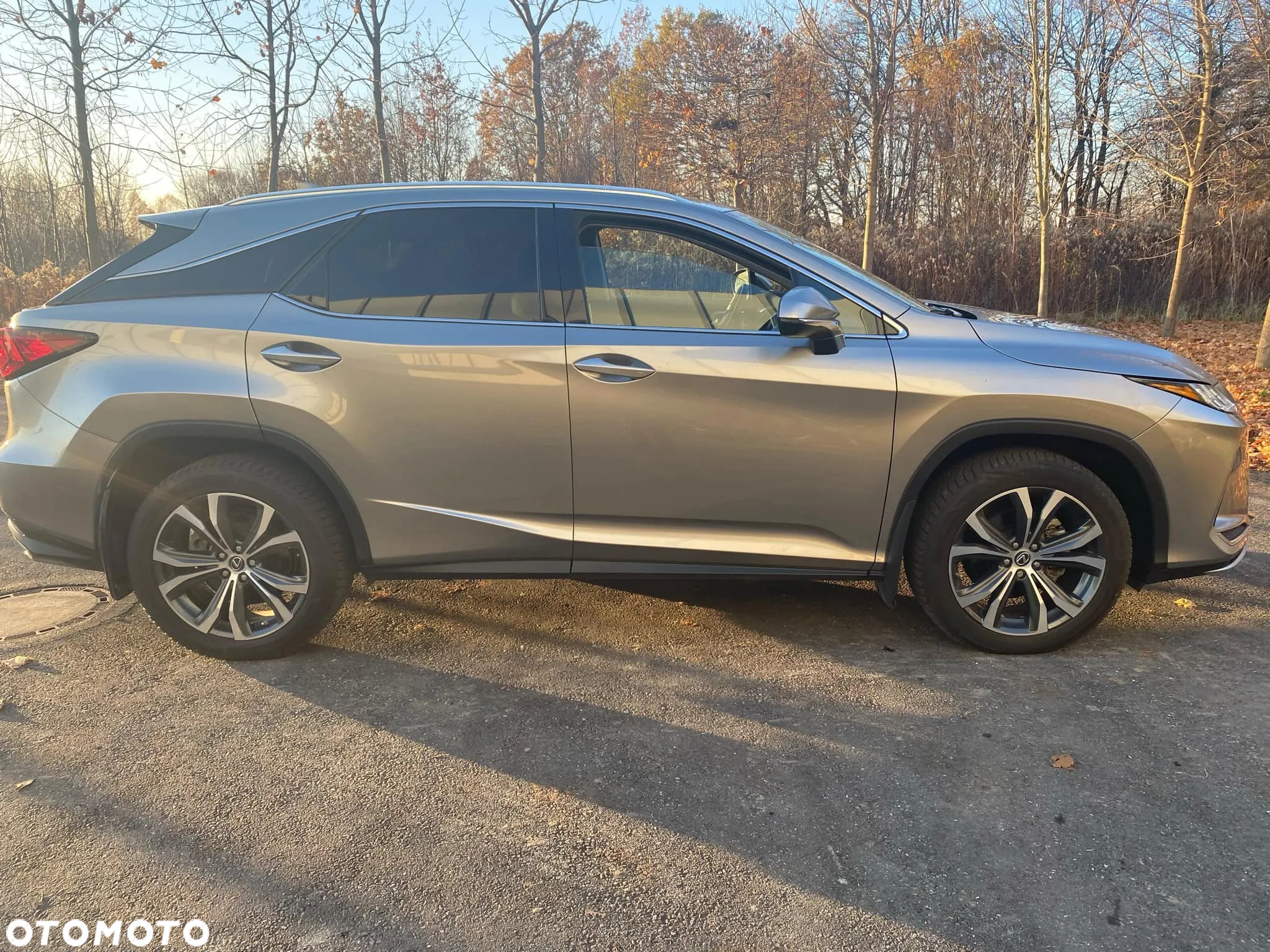 Lexus RX - 17