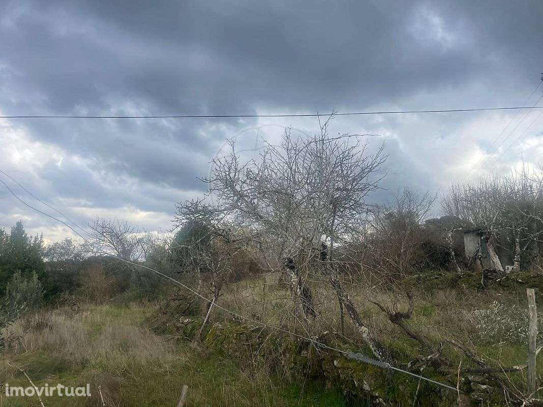 Terreno  para venda - Grande imagem: 5/14