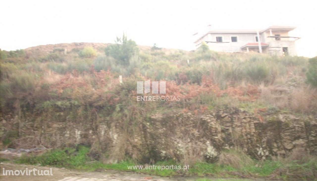 Venda Terreno, Gove, Baião - Grande imagem: 2/12