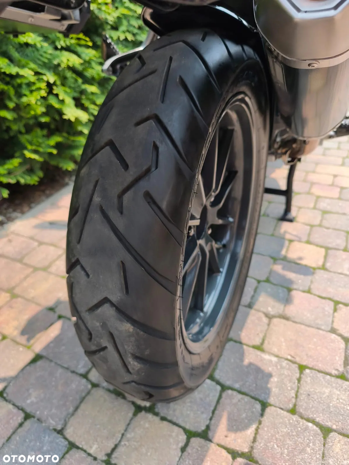 Triumph Tiger - 16
