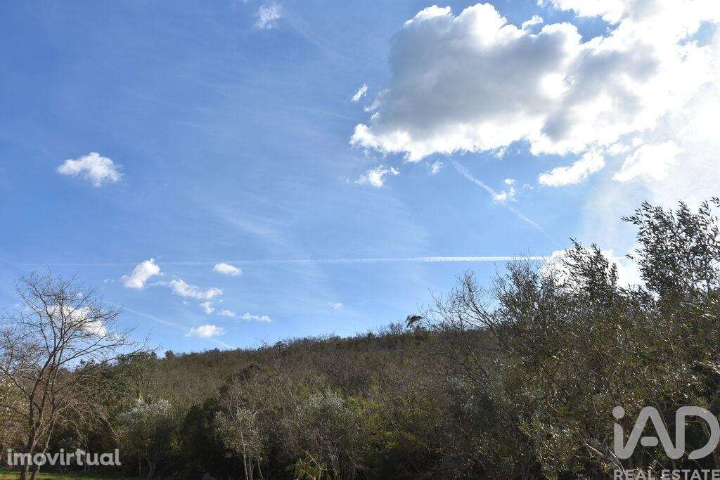 Terreno Agrícola em Chãos - Grande imagem: 2/27