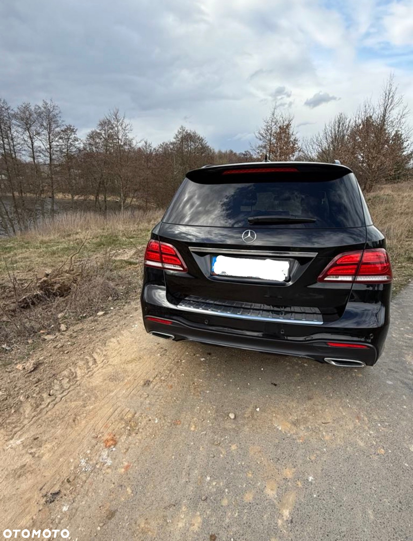 Mercedes-Benz GLE 350 d 4-Matic - 3