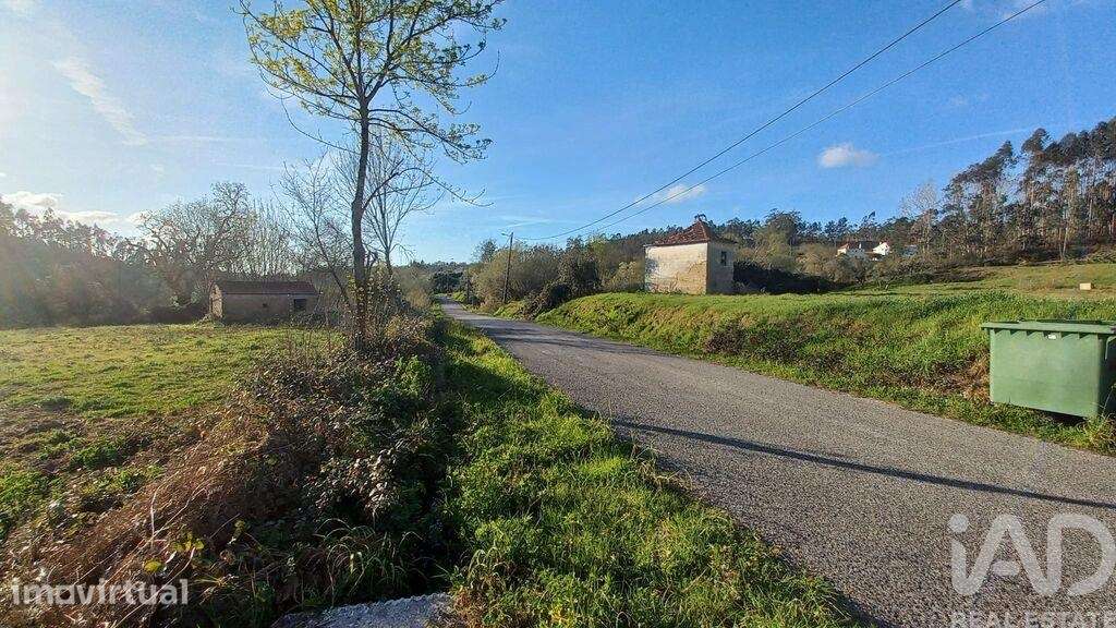 Casa de Campo em Santiago e São Simão de Litém e Albergaria dos Doze d - Grande imagem: 2/26