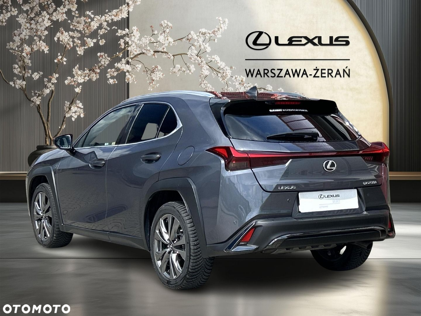 Lexus UX 250h GPF F Sport Design 2WD - 5
