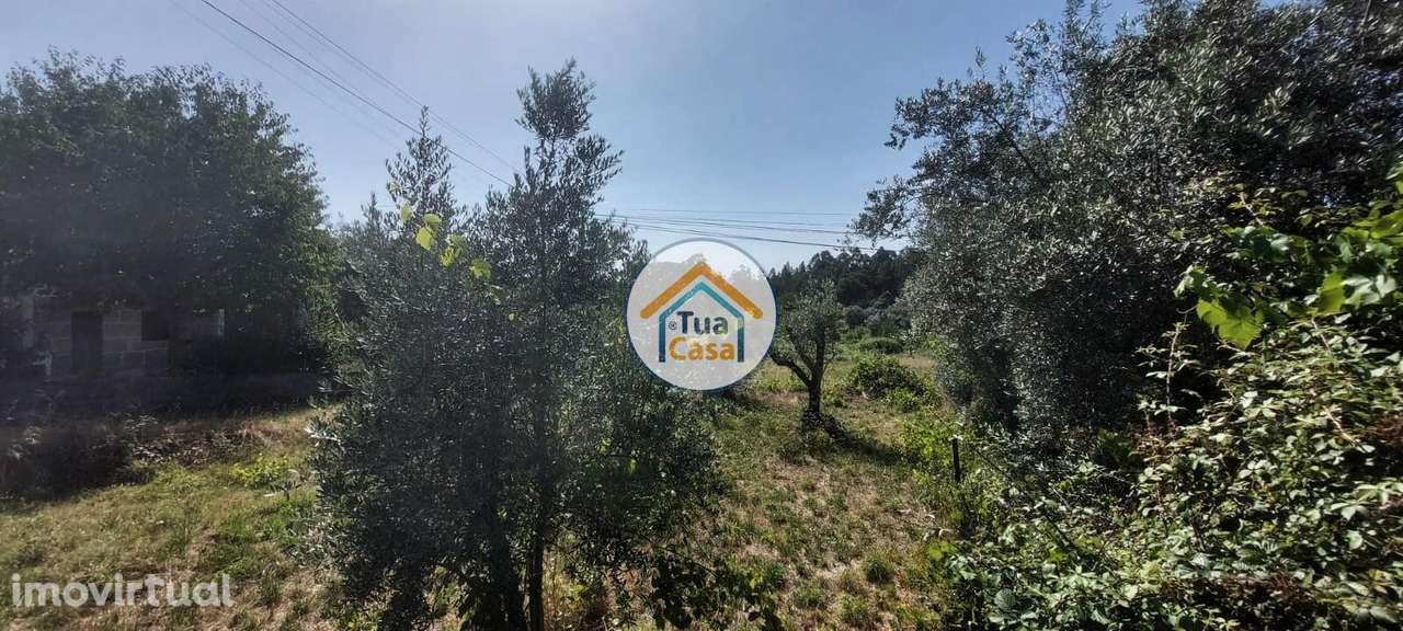 Terreno Rústico para Construção em Tondela - Grande imagem: 3/19