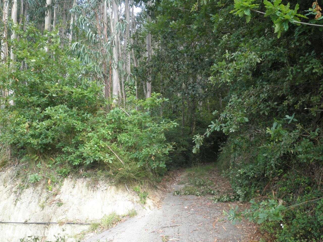 Terreno p/construção – Sever do Vouga - Grande imagem: 3/11