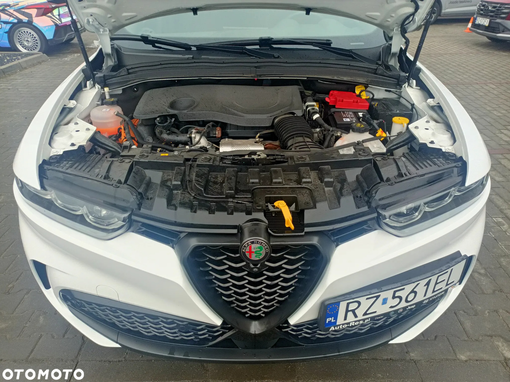 Alfa Romeo Tonale - 25