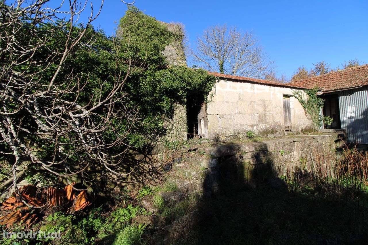 Quinta c/casas granito – São Pedro do Sul - Grande imagem: 3/51