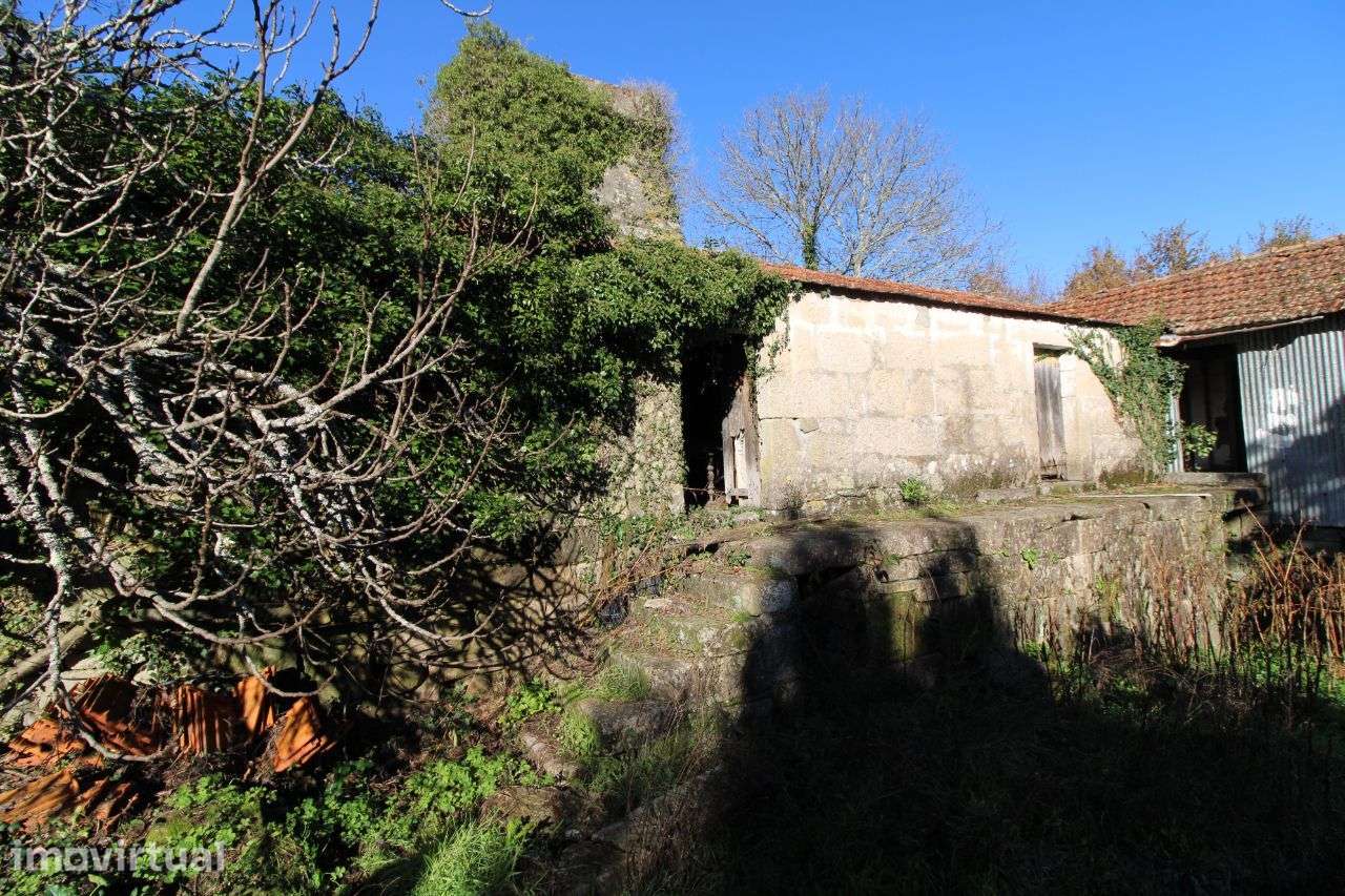 Quinta c/casas granito – São Pedro do Sul - Grande imagem: 3/51