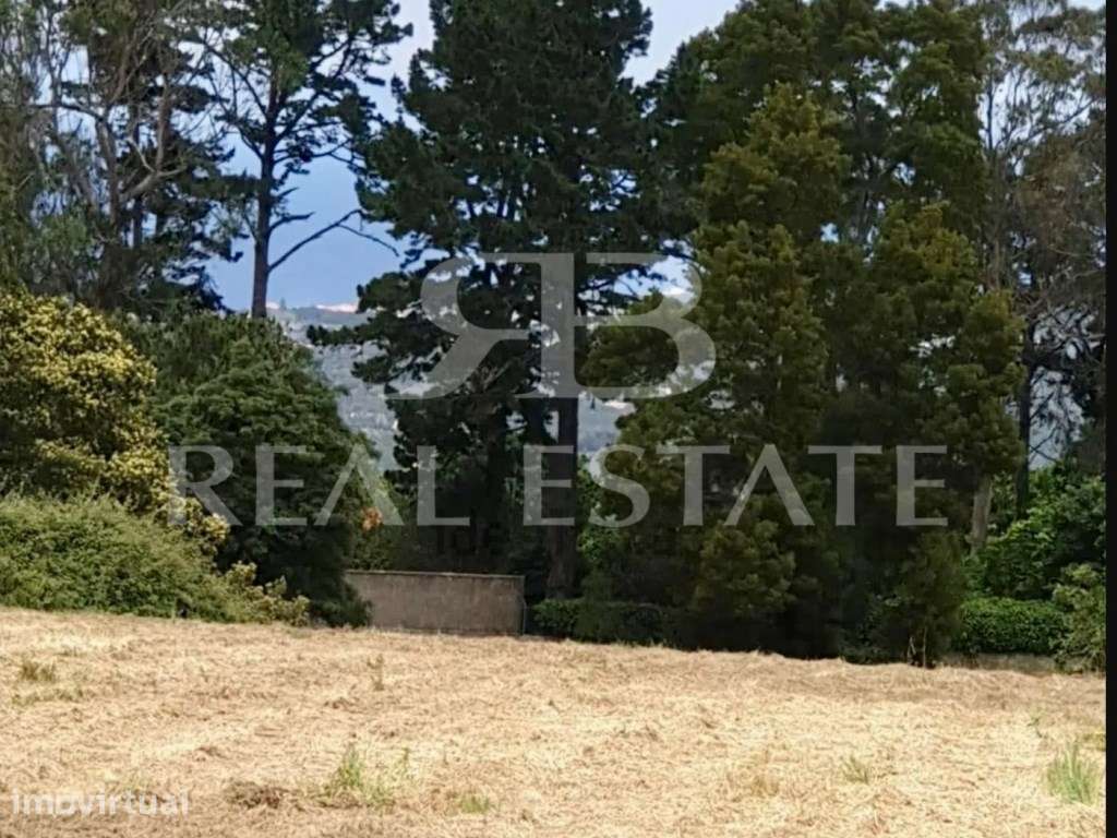 TERRENO RUSTICO 11.640m2 PENEDO, COLARES, SINTRA - Grande imagem: 3/16