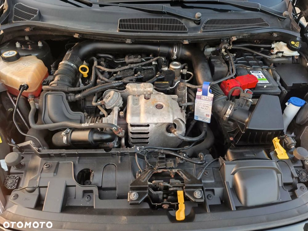 Ford Fiesta - 21