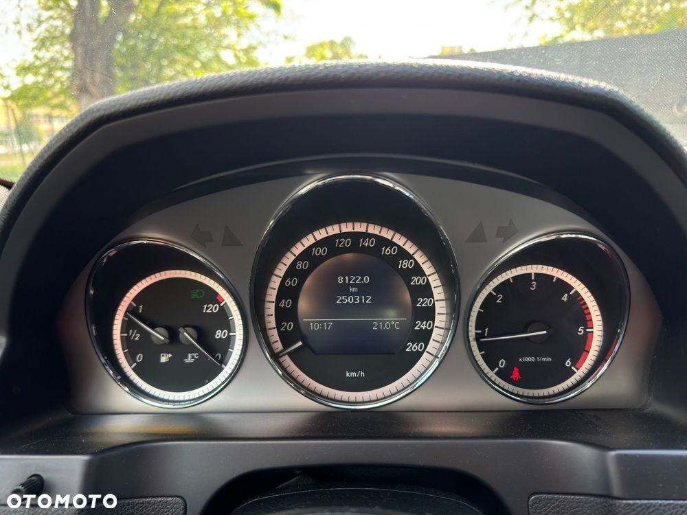 Mercedes-Benz Klasa C 250 CDI BlueEff Elegance - 14