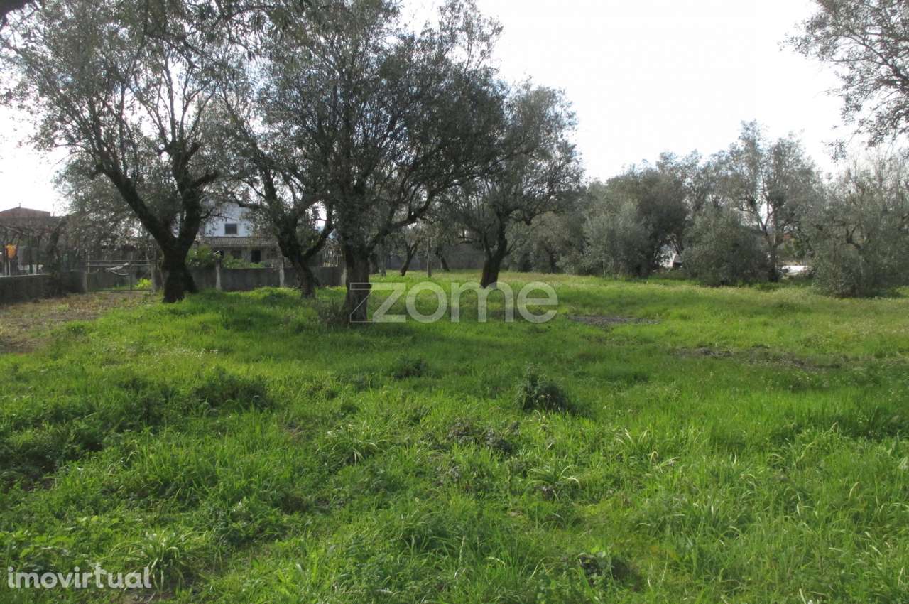 Terreno para construção de prédio - Grande imagem: 4/15