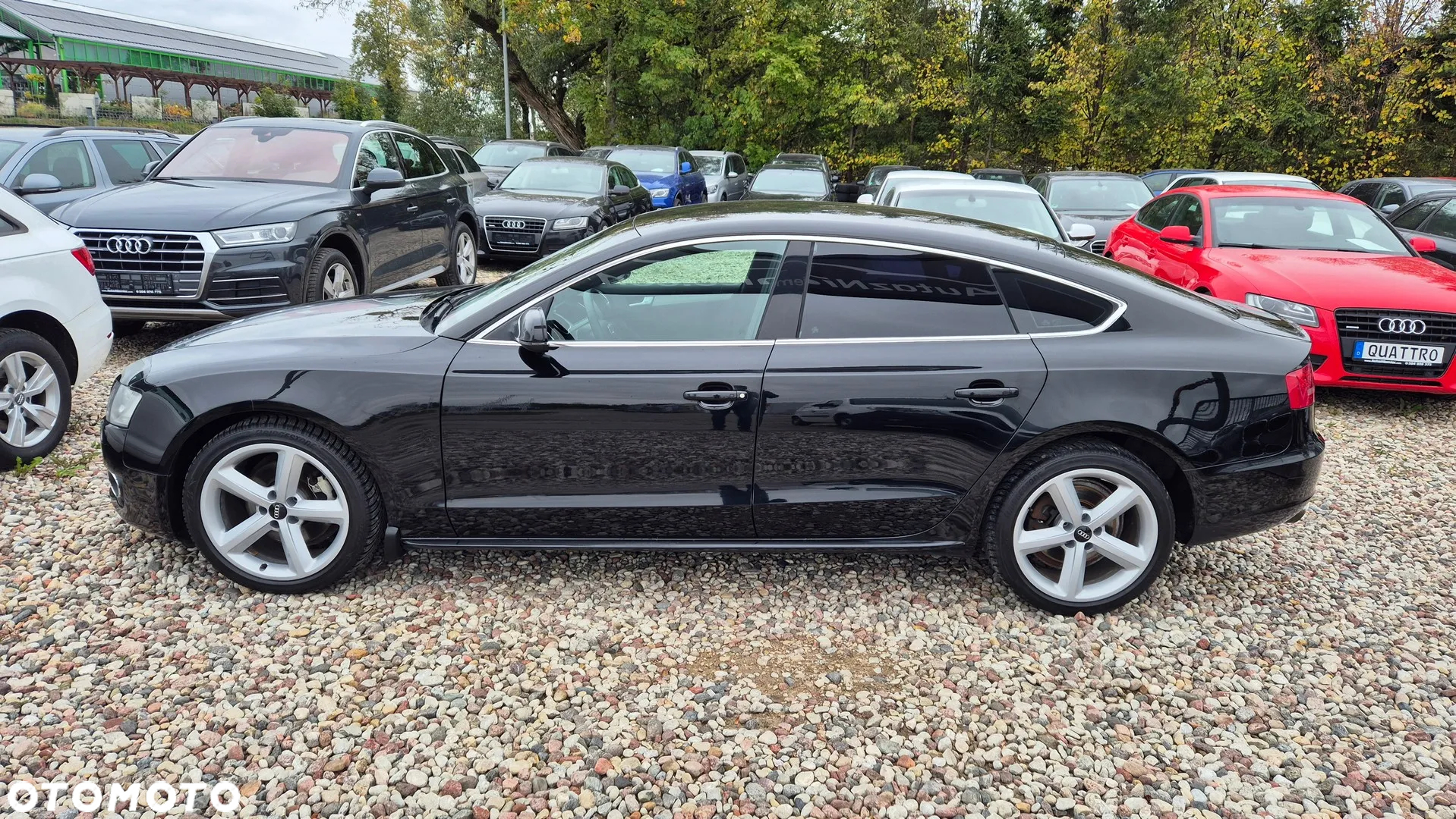 Audi A5 2.0 TFSI Sportback - 20