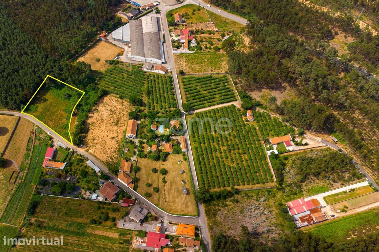 Terreno agrícola Areeiro 2978m², vedado, árvores pomar, Águeda, Ave... - Grande imagem: 2/35